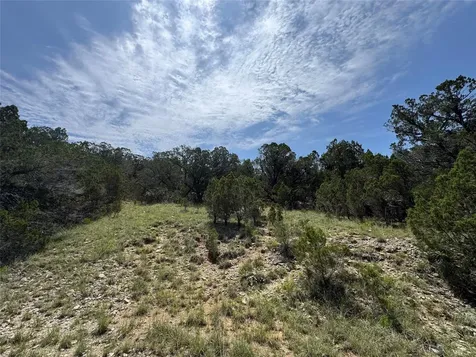 21201 La Paloma Drive Lago Vista TX 78645