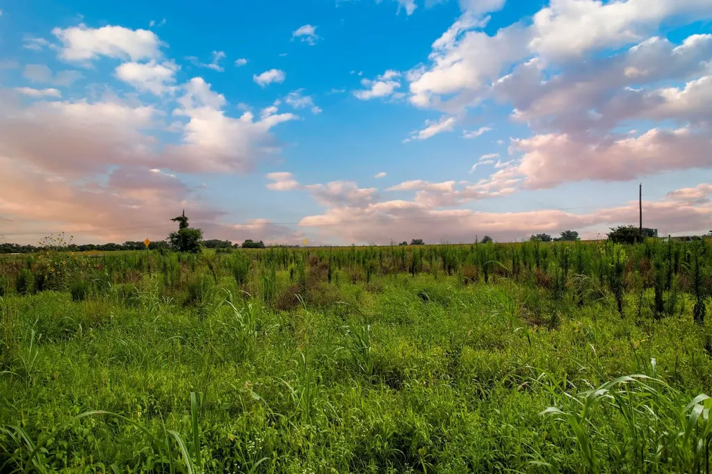 150 County Road 126 Georgetown TX 78626