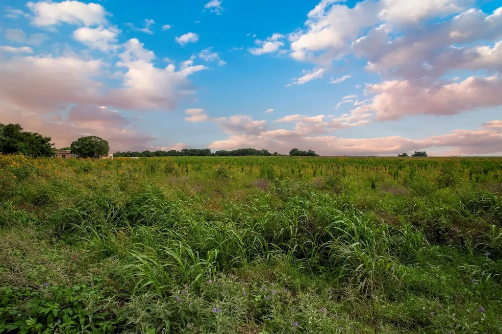 150 County Road 126 Georgetown TX 78626