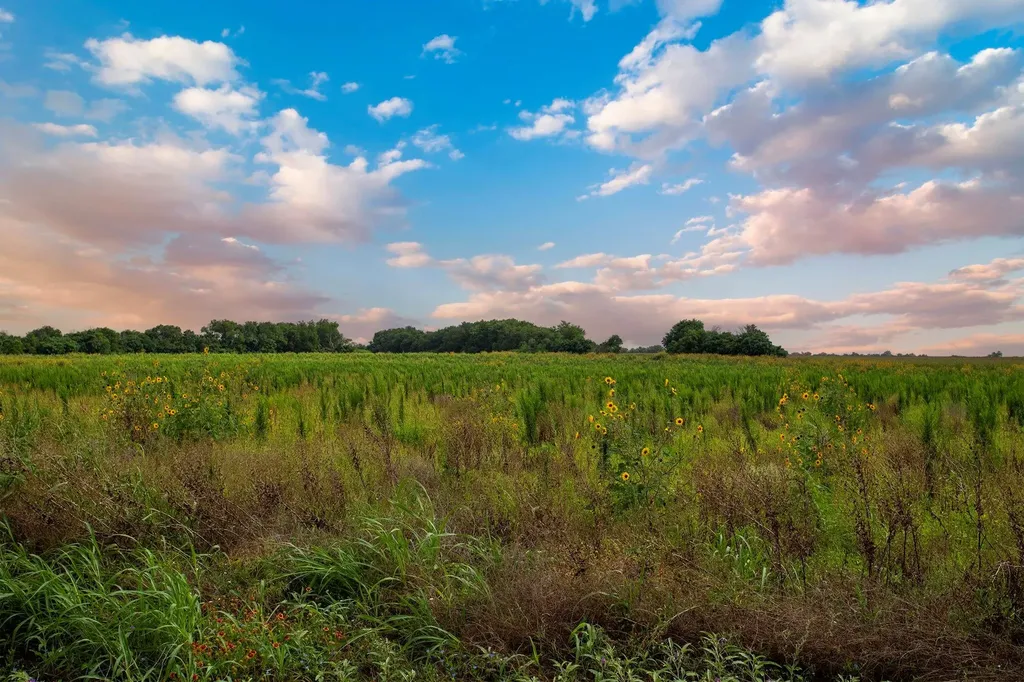 150 County Road 126 Georgetown TX 78626