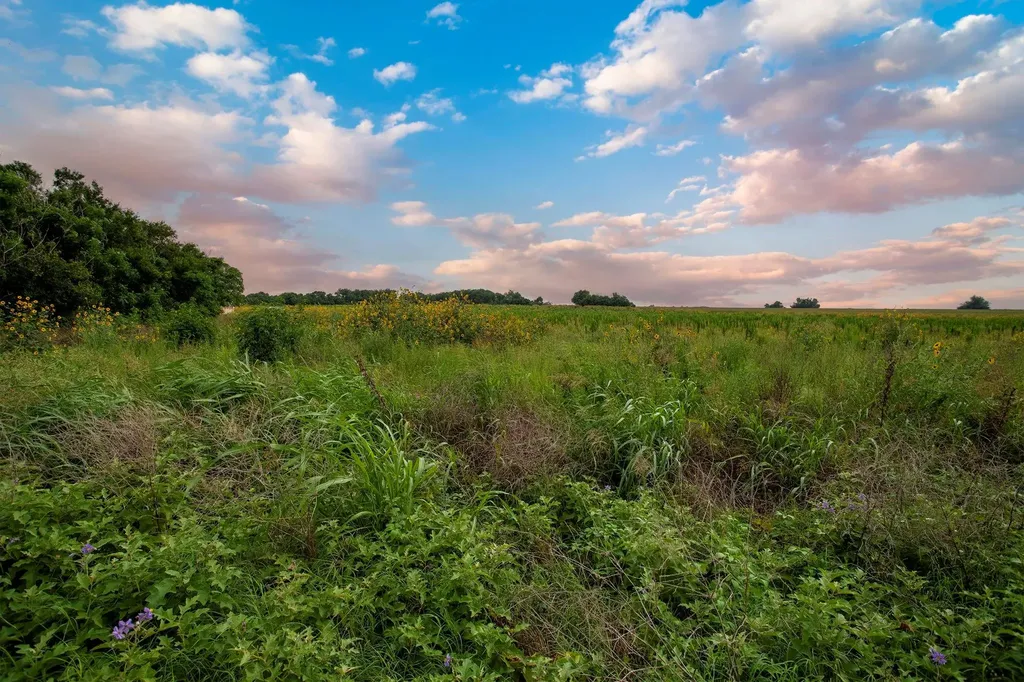 150 County Road 126 Georgetown TX 78626