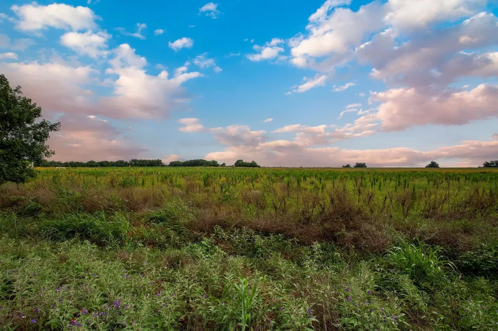 150 County Road 126 Georgetown TX 78626