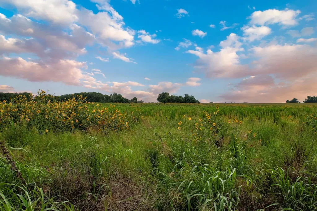 150 County Road 126 Georgetown TX 78626
