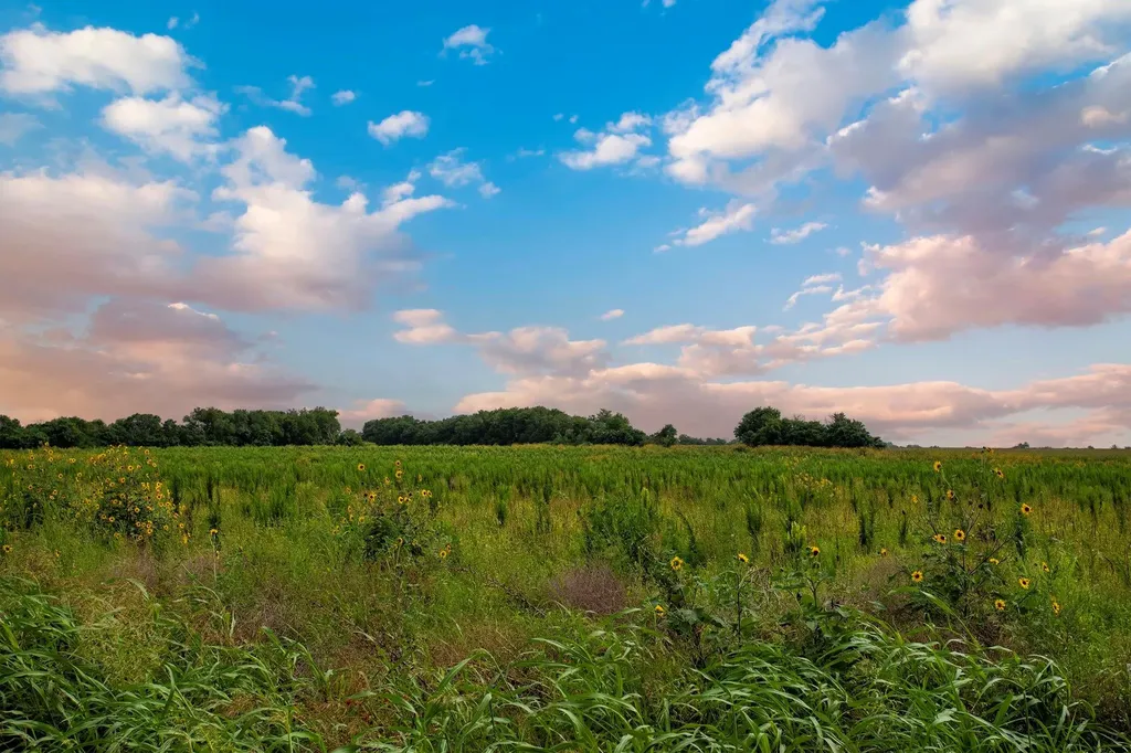 150 County Road 126 Georgetown TX 78626