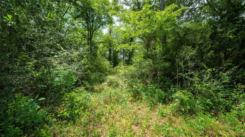 Tbd Fm 1488 Magnolia TX 77355