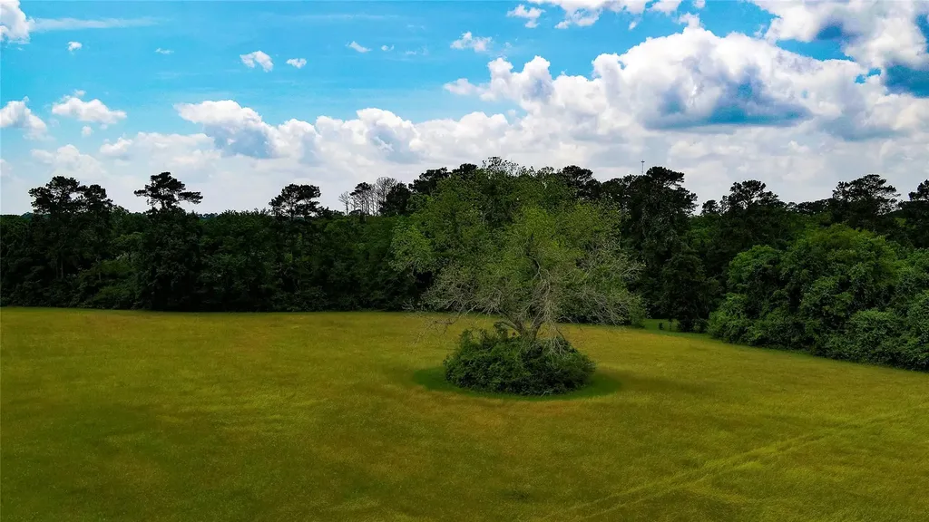 Tbd Fm 1488 Magnolia TX 77355