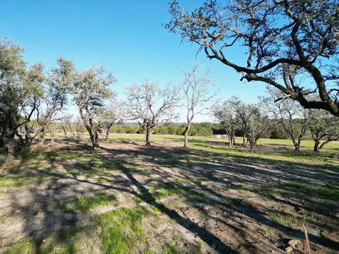 Tract 34 Burnet Oaks Drive Burnet TX 78611