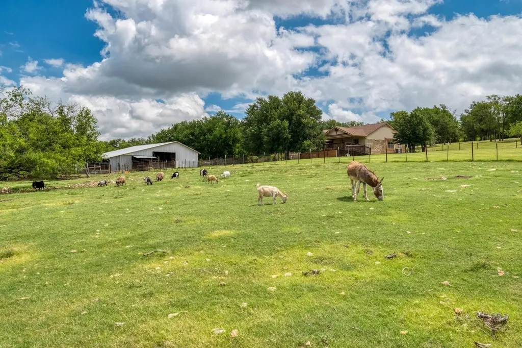 701 Berry Lane Georgetown TX 78626