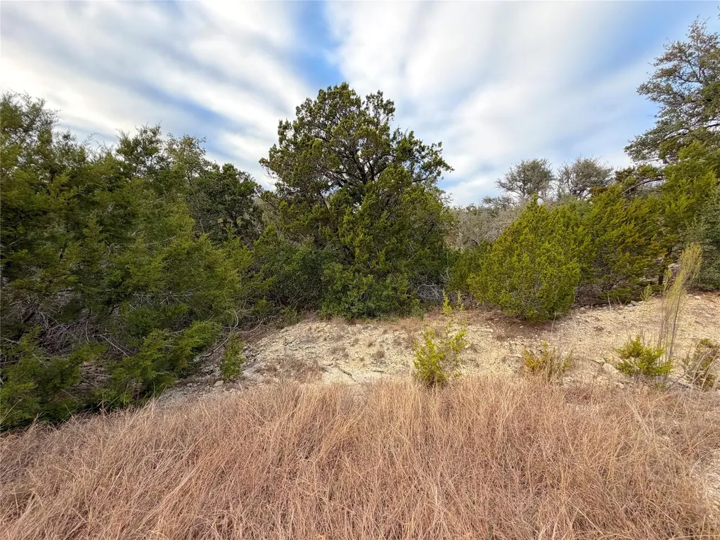 1178 Primrose Path Canyon Lake TX 78133