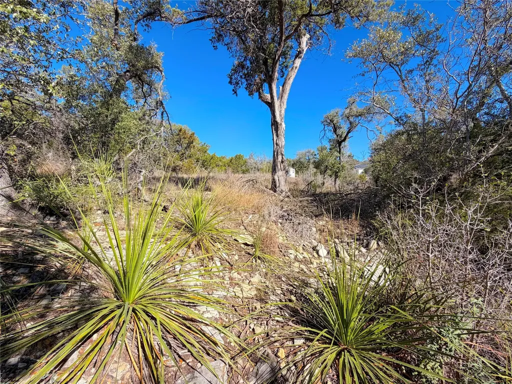 1178 Primrose Path Canyon Lake TX 78133