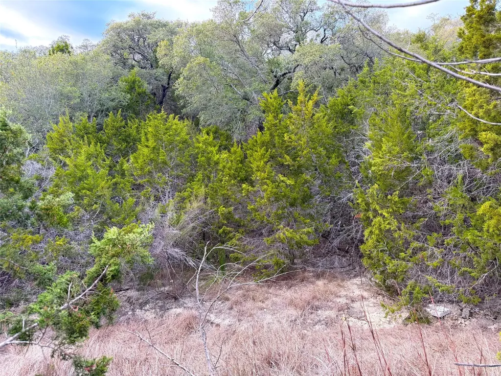 1178 Primrose Path Canyon Lake TX 78133