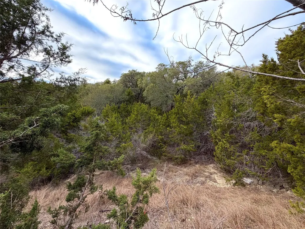 1178 Primrose Path Canyon Lake TX 78133