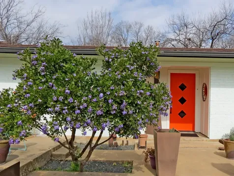 1601 E 19th Street Georgetown TX 78626