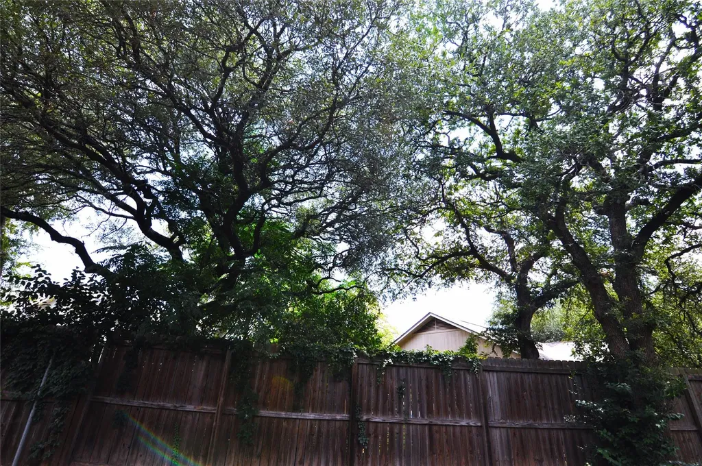 602 Timbergrove Court Cedar Park TX 78613