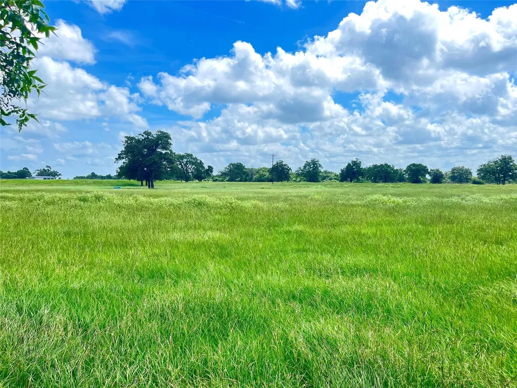 11009 Hwy 77 Highway Lexington TX 78947