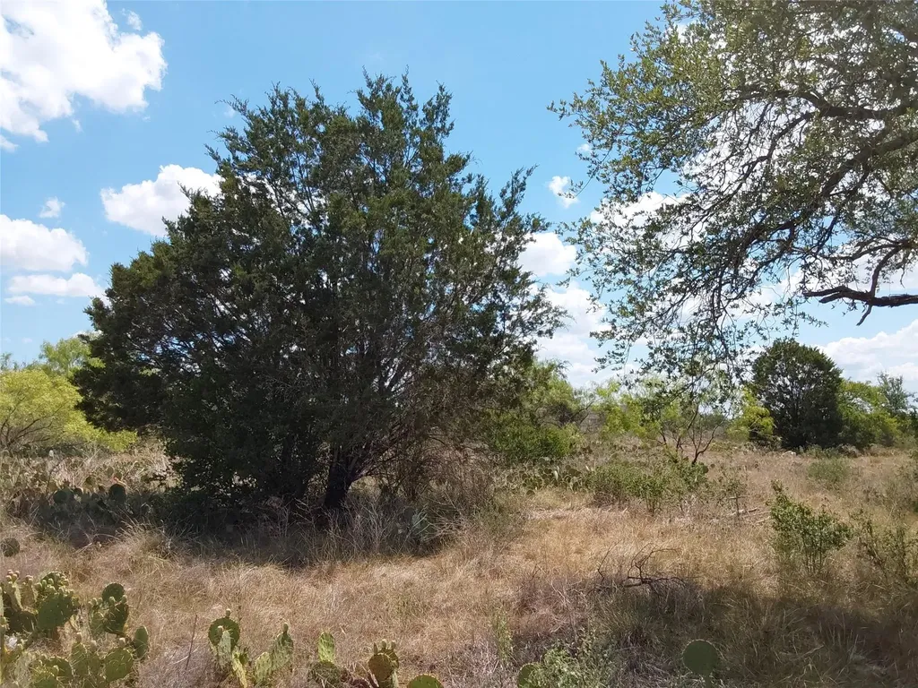 Lot 201 Sundance View Point Spicewood TX 78669