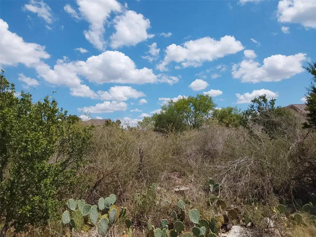 Lot 201 Sundance View Point Spicewood TX 78669