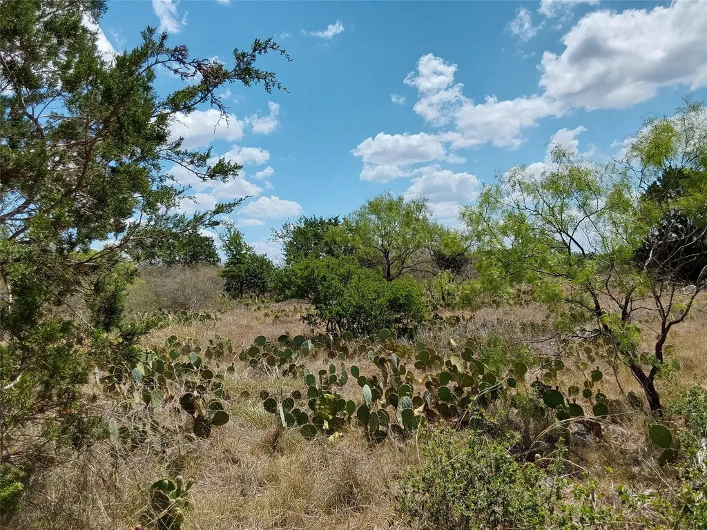 Lot 201 Sundance View Point Spicewood TX 78669