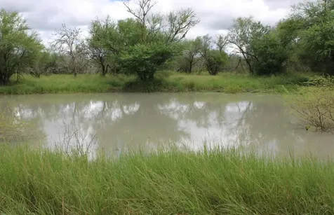 375 W County Road 401 Road Premont TX 78355