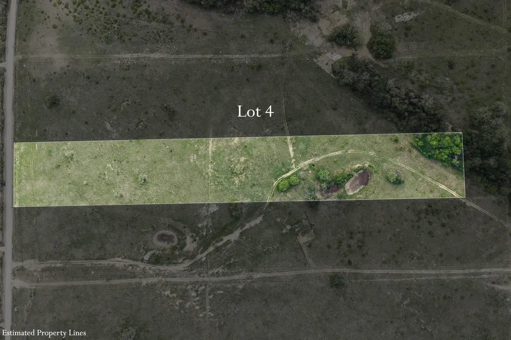 Tbd Lot 4 Pettytown Road Dale TX 78616