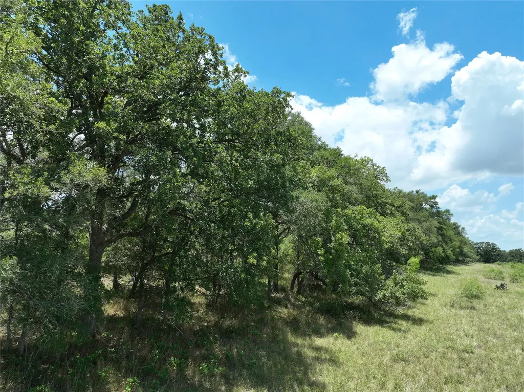 Tbd Lot 4 Pettytown Road Dale TX 78616
