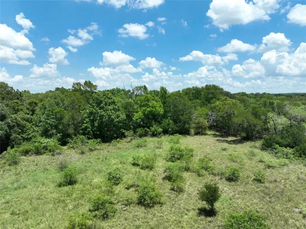 Tbd Lot 4 Pettytown Road Dale TX 78616