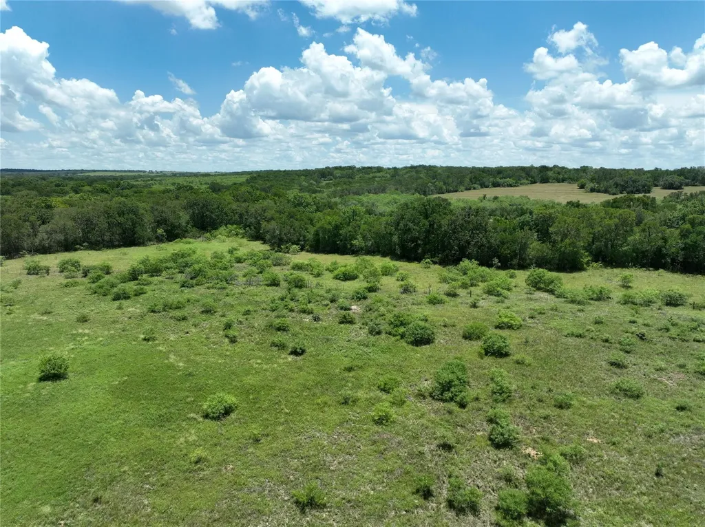 Tbd Lot 4 Pettytown Road Dale TX 78616