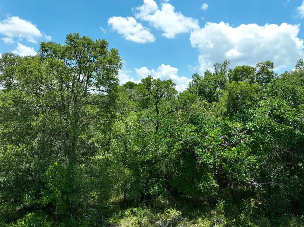 Tbd Lot 4 Pettytown Road Dale TX 78616