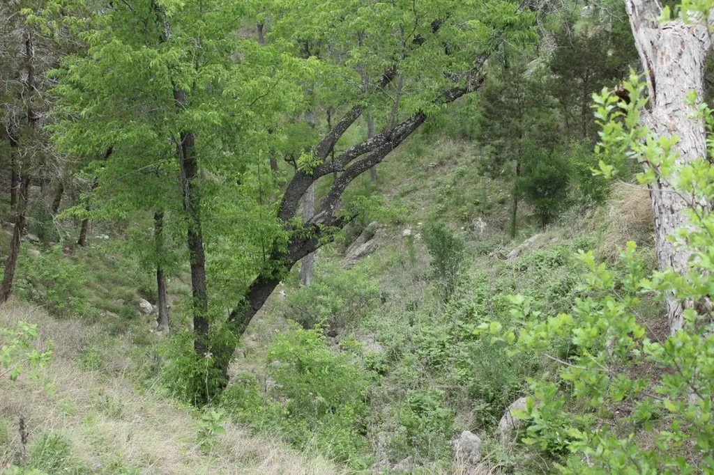 5135 Lookout Ridge Drive Marble Falls TX 78654