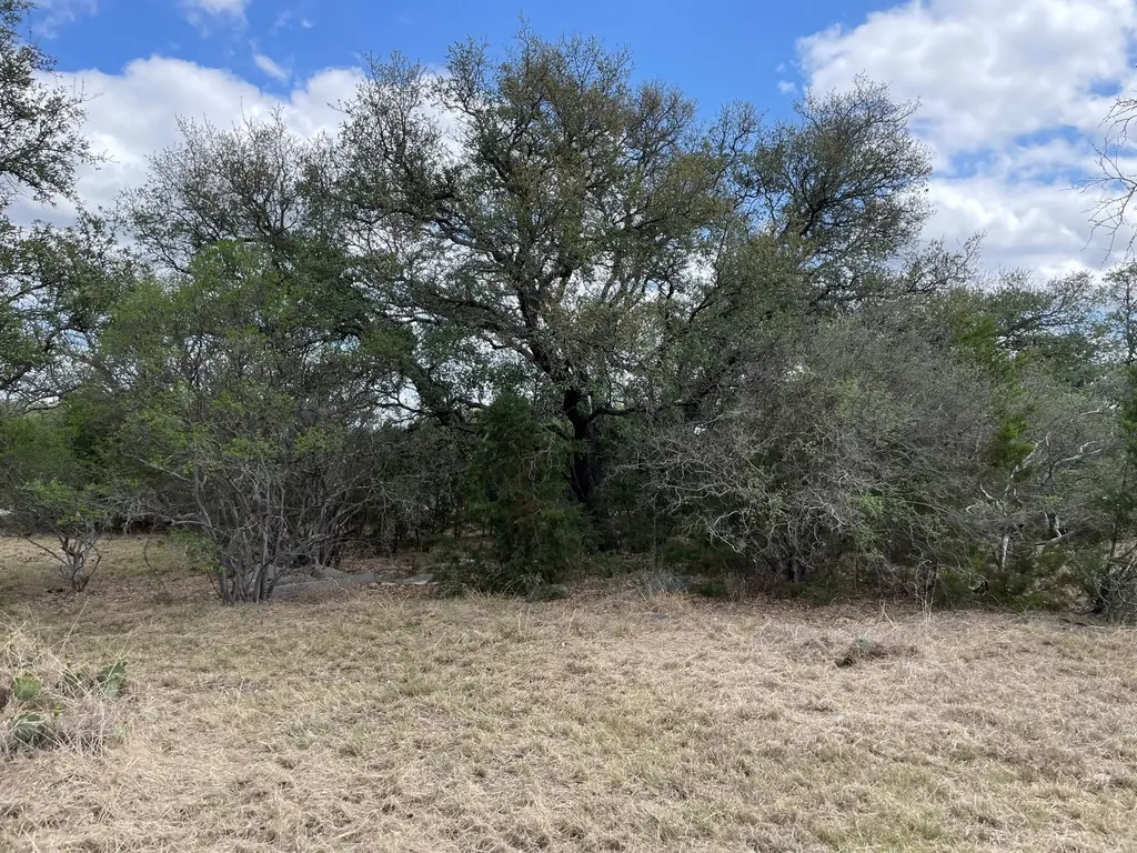 302 Vista View Trail Spicewood TX 78669