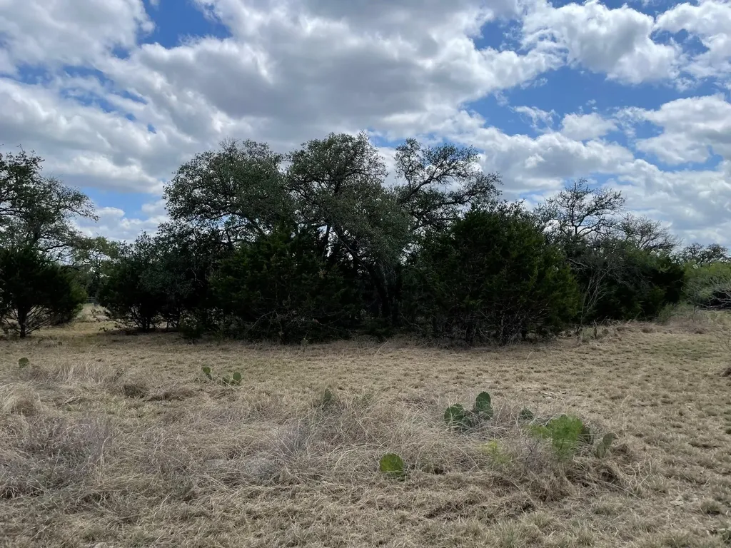 302 Vista View Trail Spicewood TX 78669