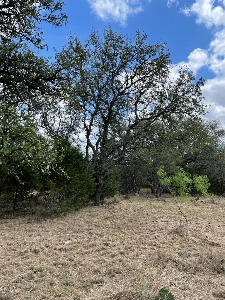 302 Vista View Trail Spicewood TX 78669