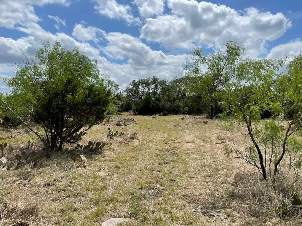 302 Vista View Trail Spicewood TX 78669