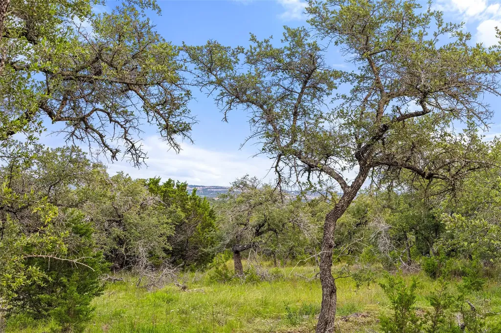 31860 Mirela Ann Road Dripping Springs TX 78620