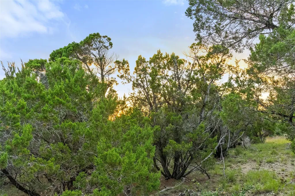 31860 Mirela Ann Road Dripping Springs TX 78620