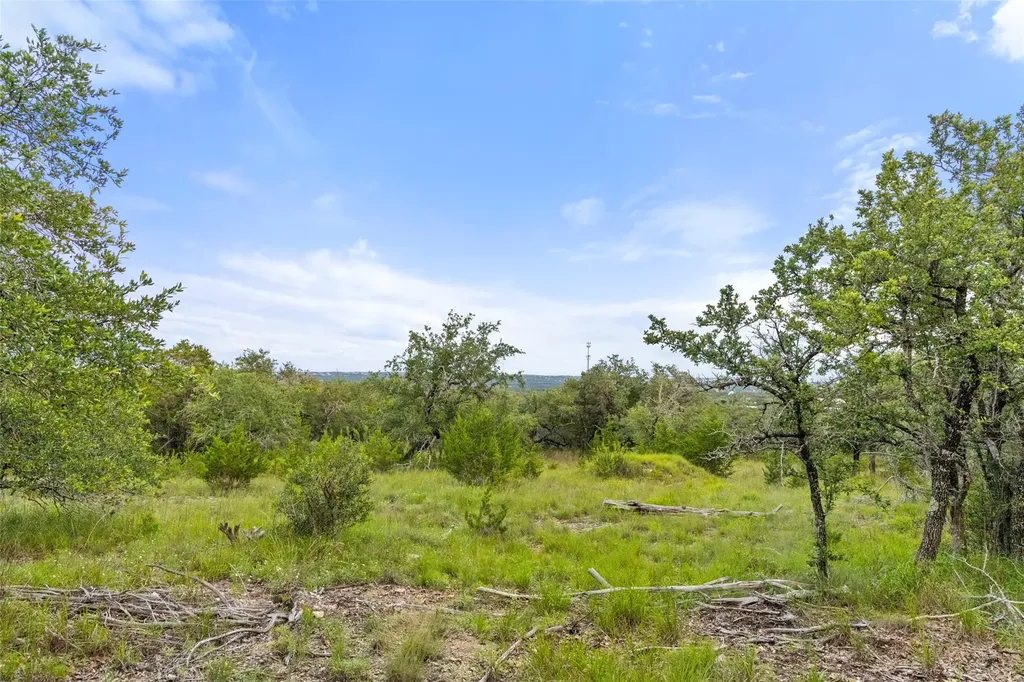 31860 Mirela Ann Road Dripping Springs TX 78620