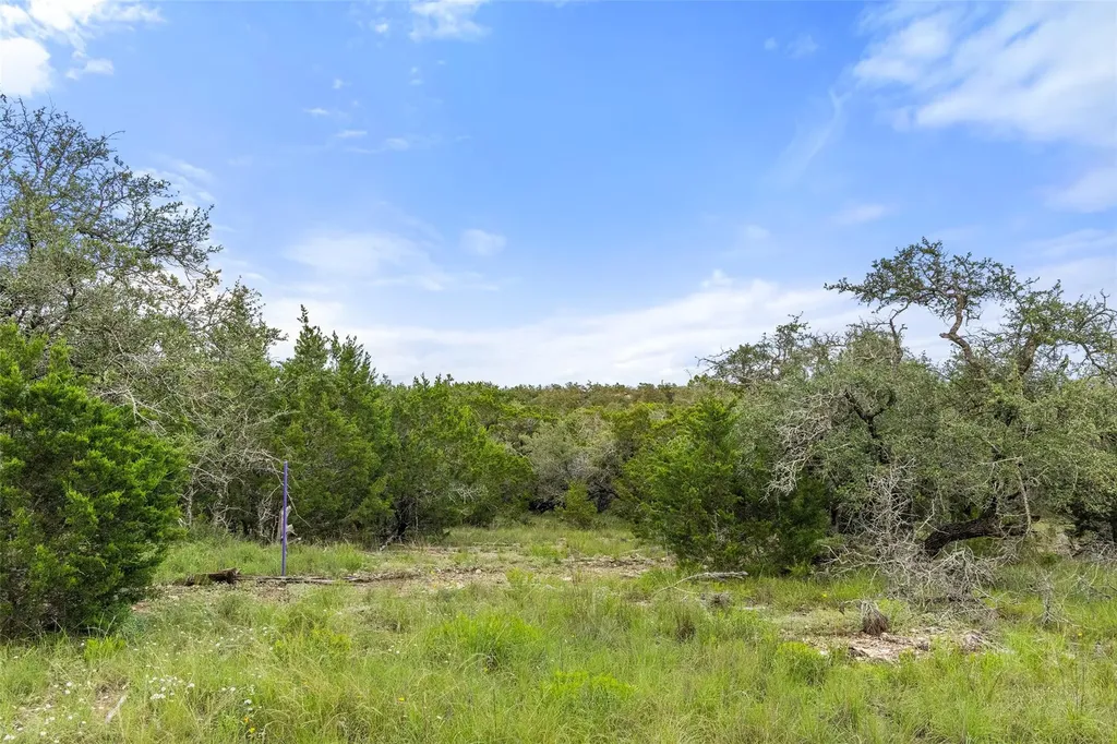 31860 Mirela Ann Road Dripping Springs TX 78620