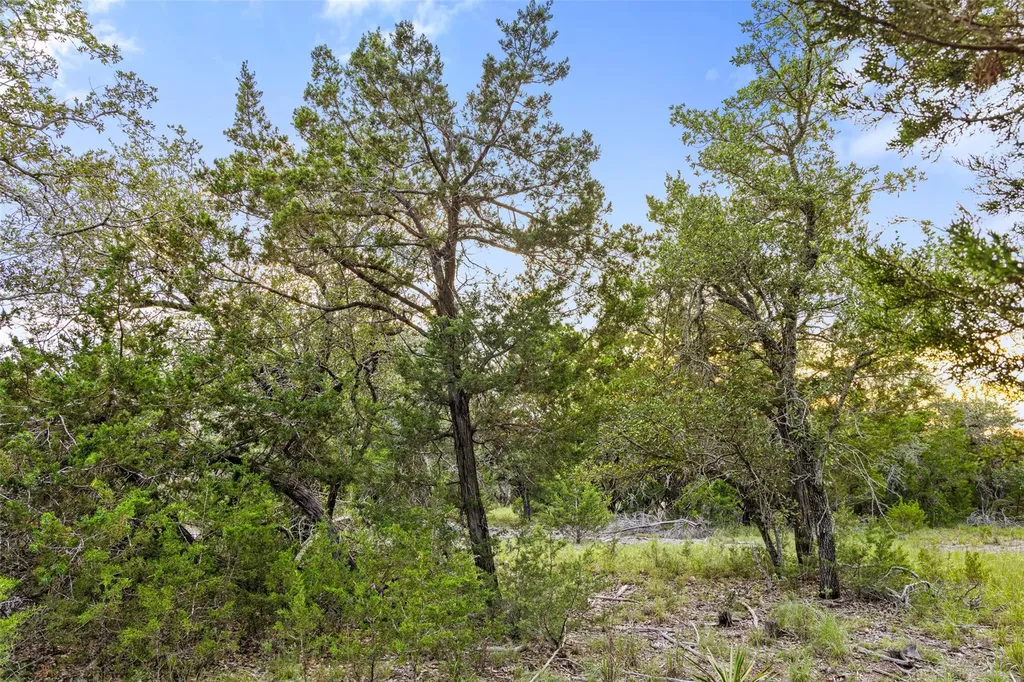 31860 Mirela Ann Road Dripping Springs TX 78620