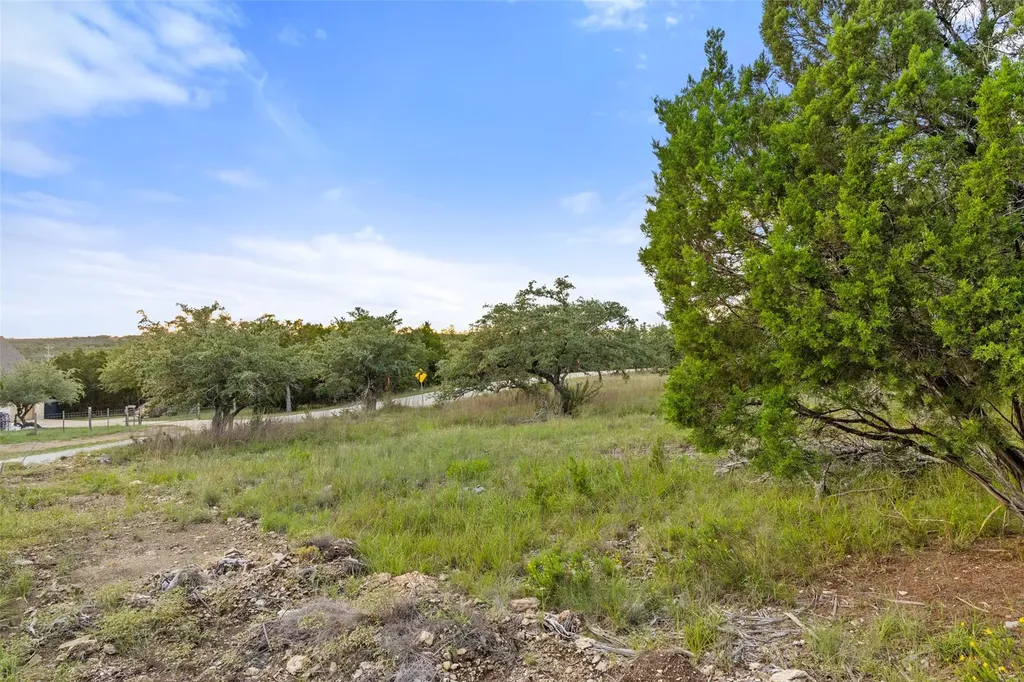 31860 Mirela Ann Road Dripping Springs TX 78620