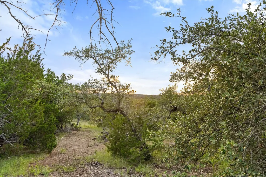 31860 Mirela Ann Road Dripping Springs TX 78620