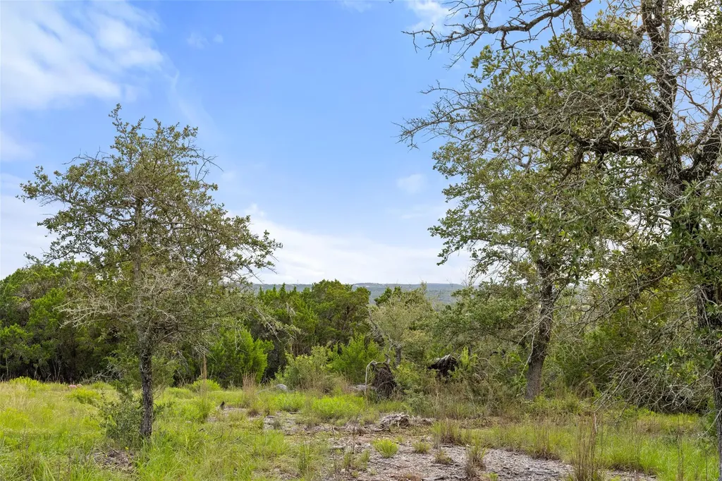 31860 Mirela Ann Road Dripping Springs TX 78620