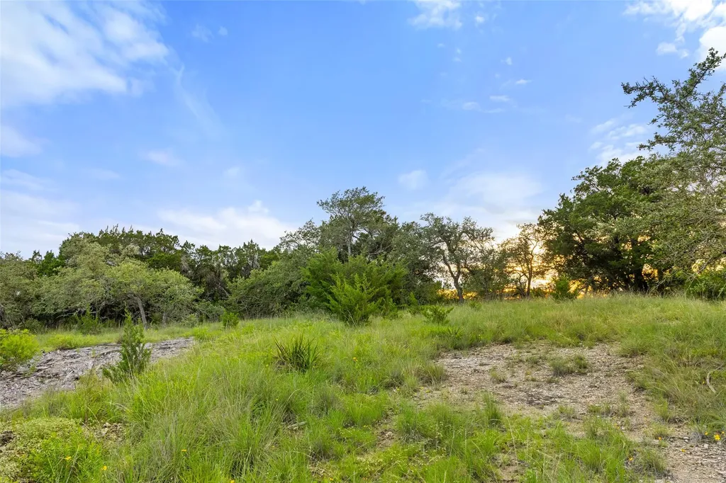31860 Mirela Ann Road Dripping Springs TX 78620