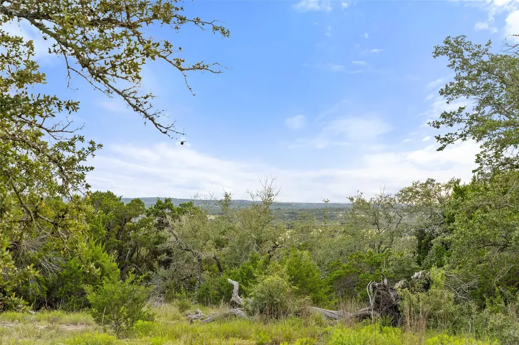 31860 Mirela Ann Road Dripping Springs TX 78620