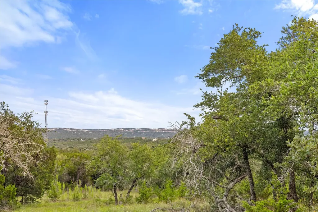 31860 Mirela Ann Road Dripping Springs TX 78620