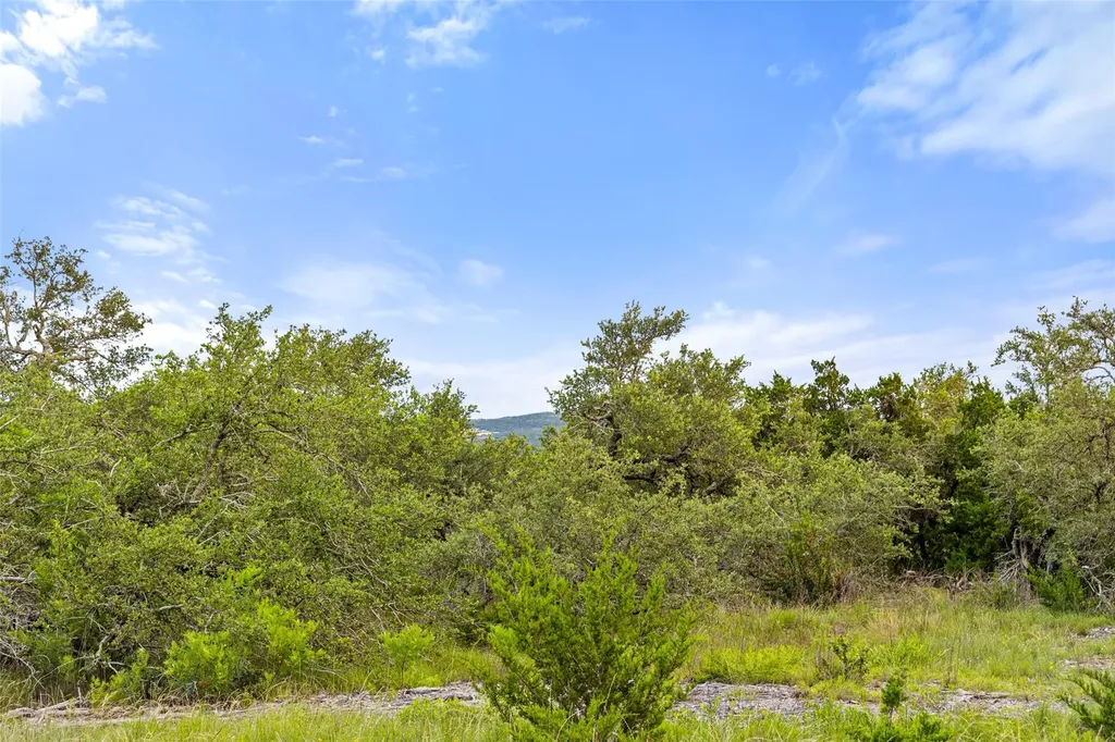 31860 Mirela Ann Road Dripping Springs TX 78620