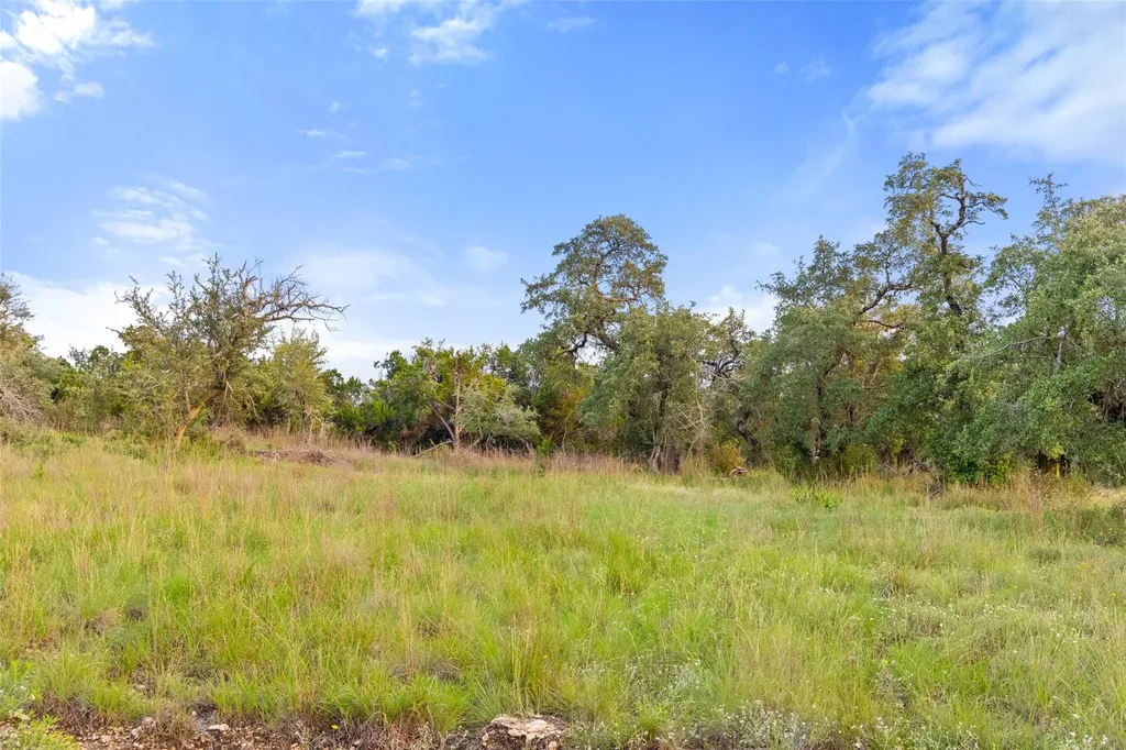 31860 Mirela Ann Road Dripping Springs TX 78620