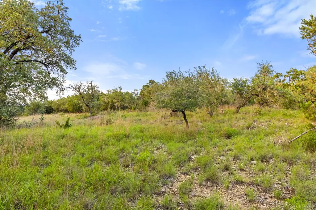 31860 Mirela Ann Road Dripping Springs TX 78620