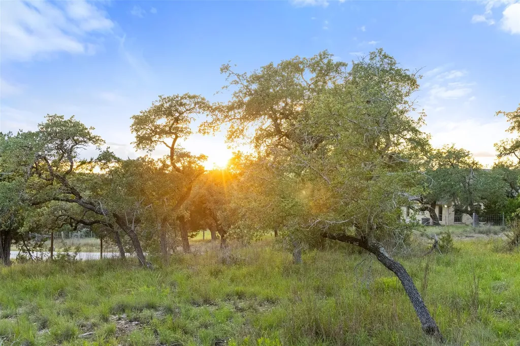 31860 Mirela Ann Road Dripping Springs TX 78620