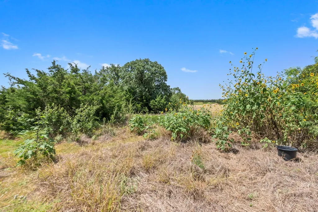 2529 Choctaw Place Leander TX 78641