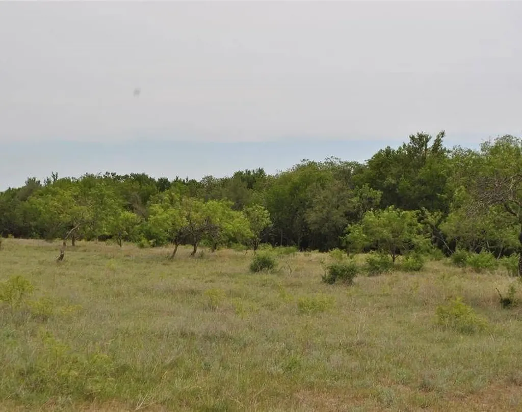 Tbd Lot# 5 Comanche Hills Drive Comanche TX 76442